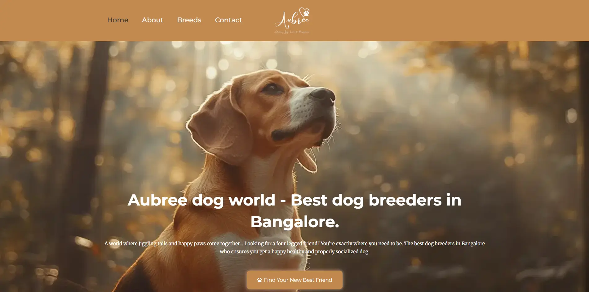 Screenshot of Aubree website designed by Milan Thomas